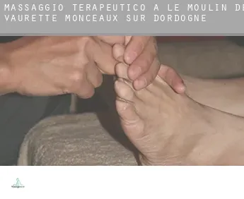 Massaggio terapeutico a  Le Moulin de Vaurette, Monceaux-sur-Dordogne