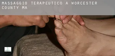 Massaggio terapeutico a Worcester County