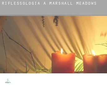 Riflessologia a  Marshall Meadows