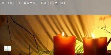 Reiki a  Wayne County