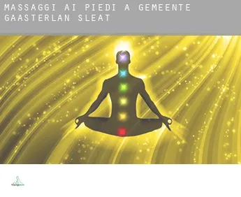 Massaggi ai piedi a  Gemeente Gaasterlân-Sleat