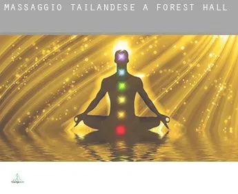 Massaggio tailandese a  Forest Hall