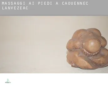 Massaggi ai piedi a  Caouënnec-Lanvézéac