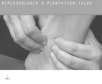 Riflessologia a  Plantation Isles