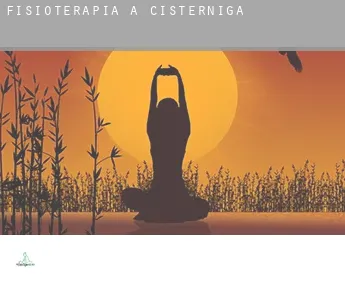 Fisioterapia a  Cistérniga