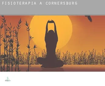 Fisioterapia a  Cornersburg