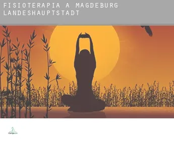 Fisioterapia a  Magdeburg Landeshauptstadt