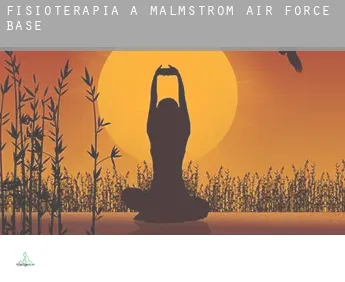 Fisioterapia a  Malmstrom Air Force Base