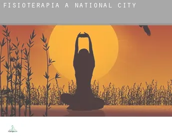 Fisioterapia a  National City