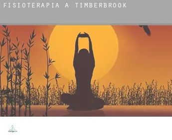 Fisioterapia a  Timberbrook