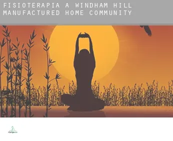 Fisioterapia a  Windham Hill Manufactured Home Community
