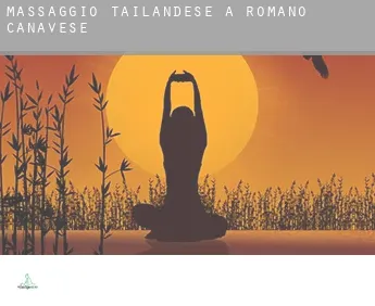 Massaggio tailandese a Romano Canavese