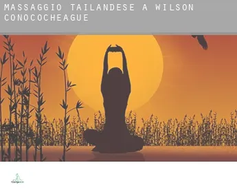 Massaggio tailandese a  Wilson-Conococheague