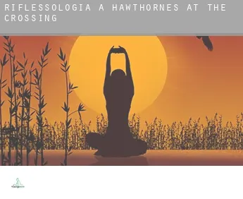 Riflessologia a  Hawthornes At The Crossing