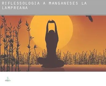 Riflessologia a  Manganeses de la Lampreana