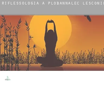 Riflessologia a  Plobannalec-Lesconil