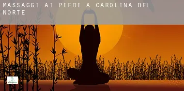Massaggi ai piedi a  Carolina del Nord