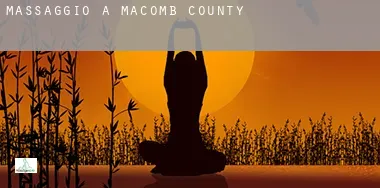 Massaggio a  Macomb County