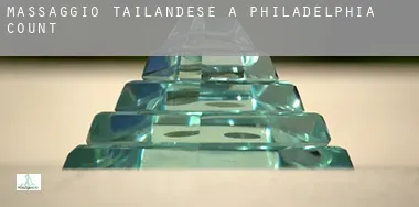 Massaggio tailandese a Philadelphia County