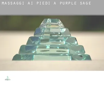 Massaggi ai piedi a  Purple Sage