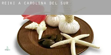 Reiki a  Carolina del Sud