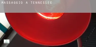 Massaggio a  Tennessee