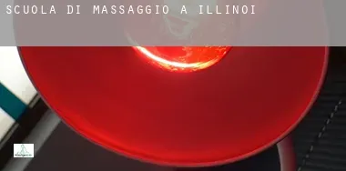 Scuola di massaggio a  Illinois