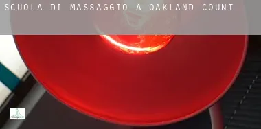 Scuola di massaggio a  Oakland County