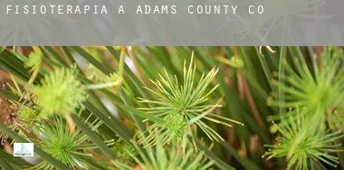 Fisioterapia a Adams County