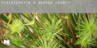 Fisioterapia a  DuPage County