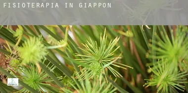 Fisioterapia in  Giappone