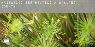 Massaggio terapeutico a  Oakland County