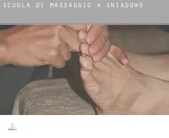 Scuola di massaggio a  Śniadowo