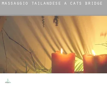 Massaggio tailandese a  Cats Bridge