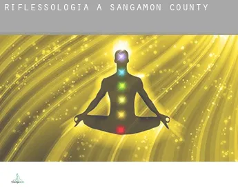 Riflessologia a  Sangamon County