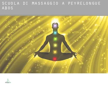 Scuola di massaggio a  Peyrelongue-Abos