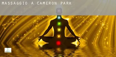 Massaggio a  Cameron Park