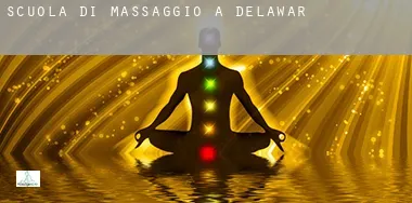 Scuola di massaggio a Delaware