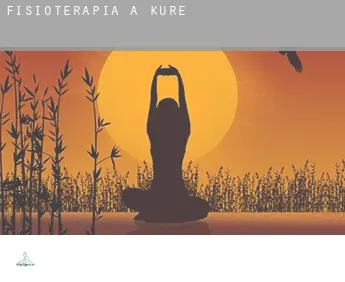 Fisioterapia a  Kure