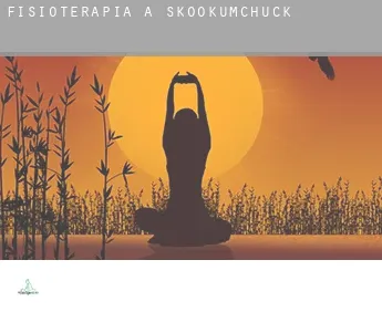 Fisioterapia a Skookumchuck