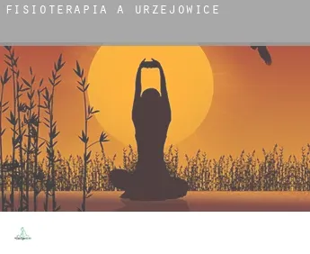 Fisioterapia a Urzejowice
