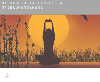 Massaggio tailandese a  Maiblumengehege