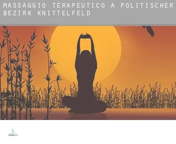 Massaggio terapeutico a  Politischer Bezirk Knittelfeld