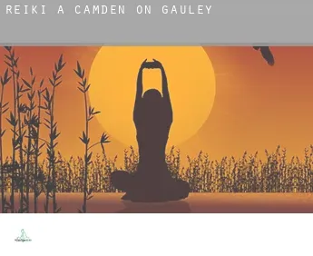 Reiki a  Camden on Gauley