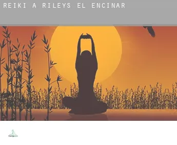 Reiki a  Rileys El Encinar