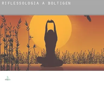 Riflessologia a  Boltigen
