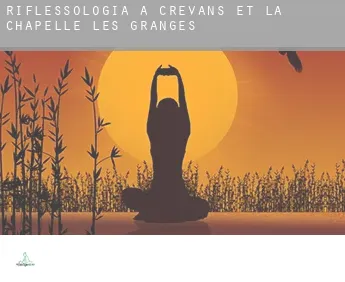 Riflessologia a Crevans-et-la-Chapelle-lès-Granges