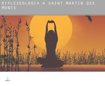 Riflessologia a Saint-Martin-des-Monts