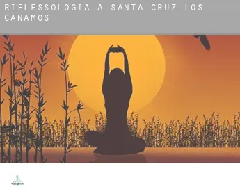 Riflessologia a  Santa Cruz de los Cáñamos