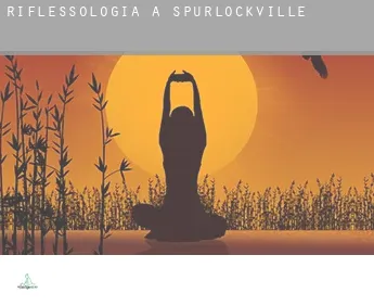 Riflessologia a  Spurlockville
